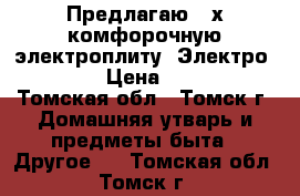 Предлагаю 4-х комфорочную электроплиту “Электро 1006“ › Цена ­ 3 000 - Томская обл., Томск г. Домашняя утварь и предметы быта » Другое   . Томская обл.,Томск г.